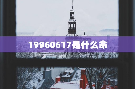 19960617是什么命