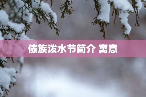 傣族泼水节简介 寓意