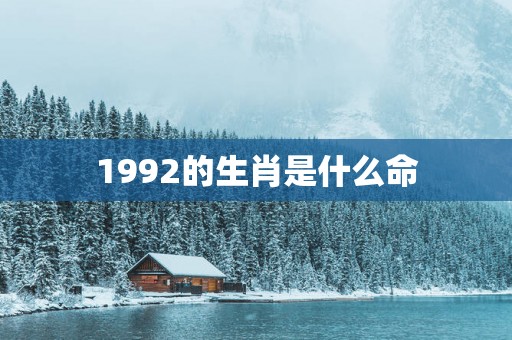 1992的生肖是什么命