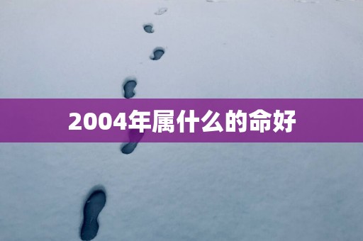 2004年属什么的命好