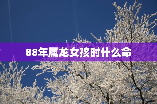 88年属龙女孩时什么命