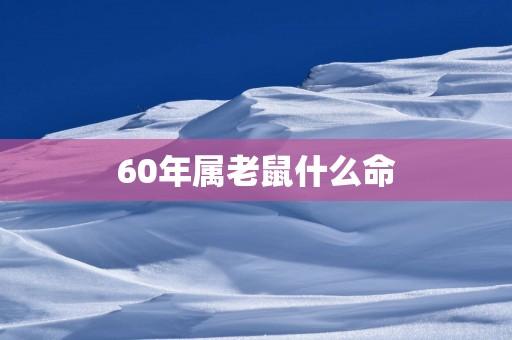 60年属老鼠什么命