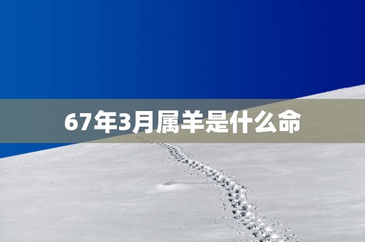 67年3月属羊是什么命