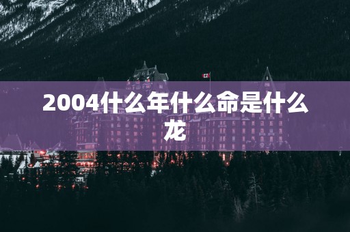 2004什么年什么命是什么龙