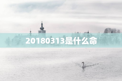 20180313是什么命