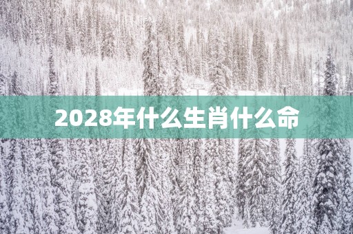 2028年什么生肖什么命