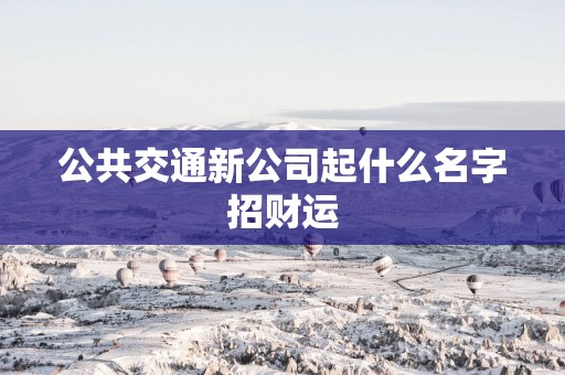 公共交通新公司起什么名字招财运
