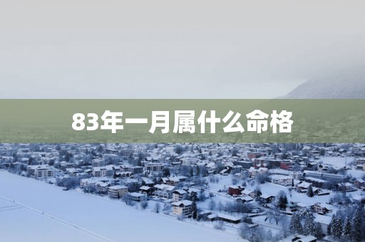 83年一月属什么命格
