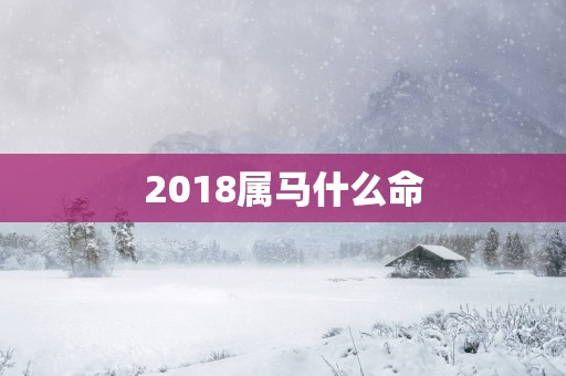 2018属马什么命