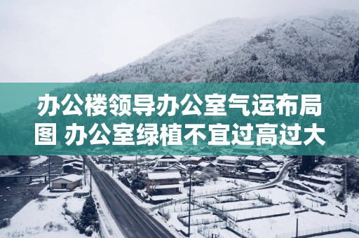 办公楼领导办公室气运布局图 办公室绿植不宜过高过大