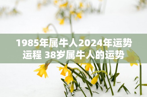 1985年属牛人2025年运势运程 38岁属牛人的运势