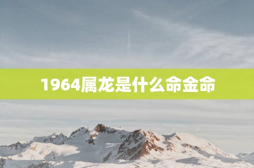 1964属龙是什么命金命