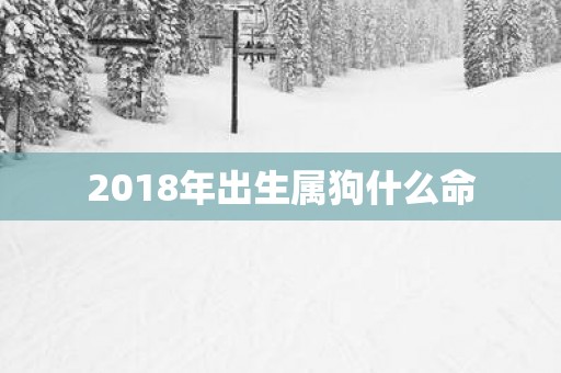 2018年出生属狗什么命