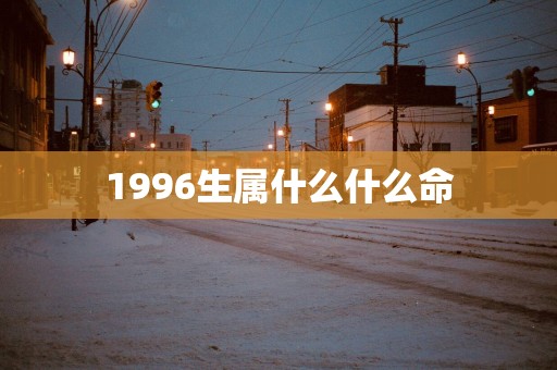 1996生属什么什么命