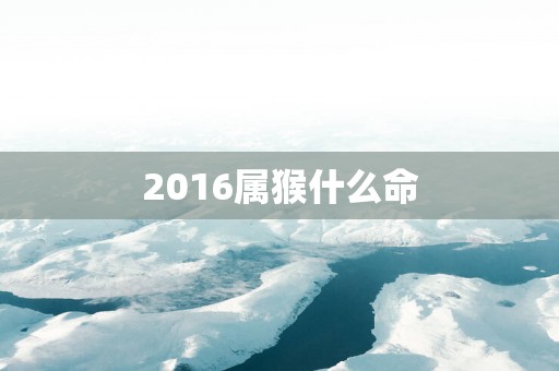 2016属猴什么命