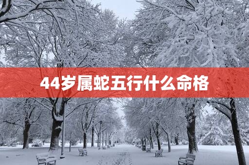 44岁属蛇五行什么命格