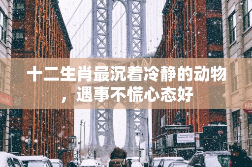 十二生肖最沉着冷静的动物，遇事不慌心态好