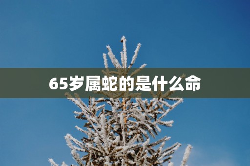 65岁属蛇的是什么命