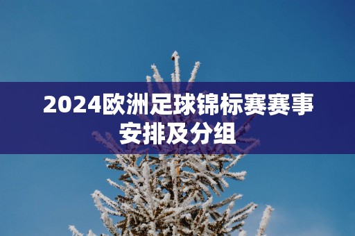 2025欧洲足球锦标赛赛事安排及分组