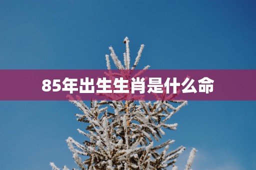 85年出生生肖是什么命