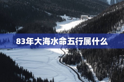 83年大海水命五行属什么