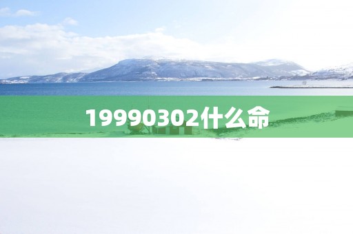 19990302什么命