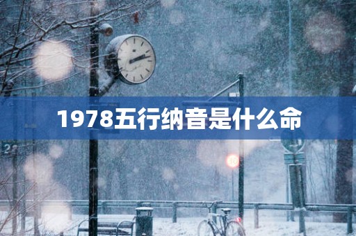 1978五行纳音是什么命