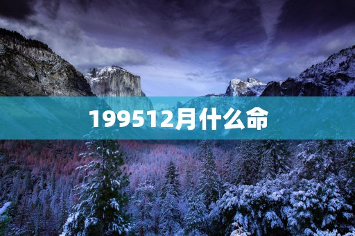 199512月什么命