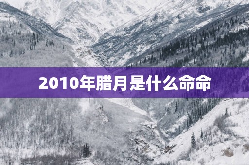2010年腊月是什么命命