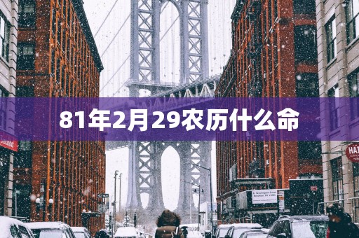 81年2月29农历什么命
