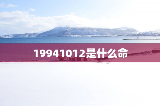 19941012是什么命