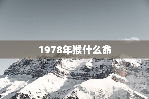 1978年猴什么命