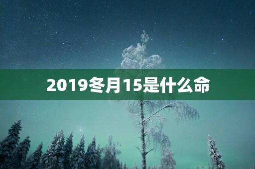 2019冬月15是什么命