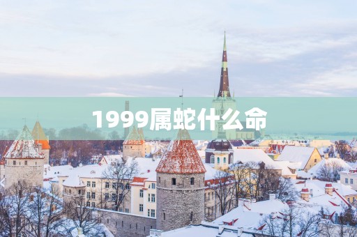 1999属蛇什么命