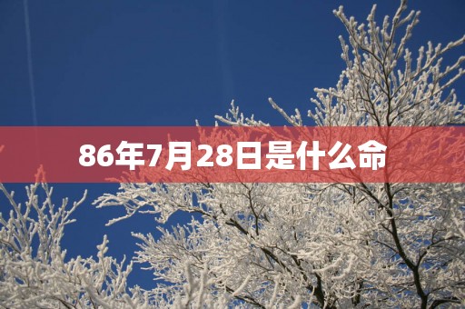 86年7月28日是什么命