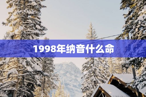 1998年纳音什么命