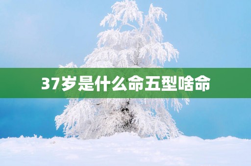 37岁是什么命五型啥命