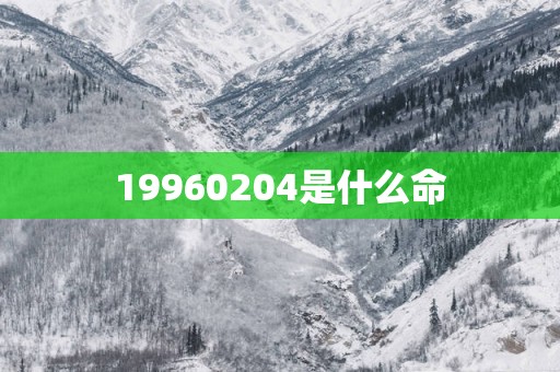 19960204是什么命