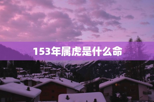 153年属虎是什么命
