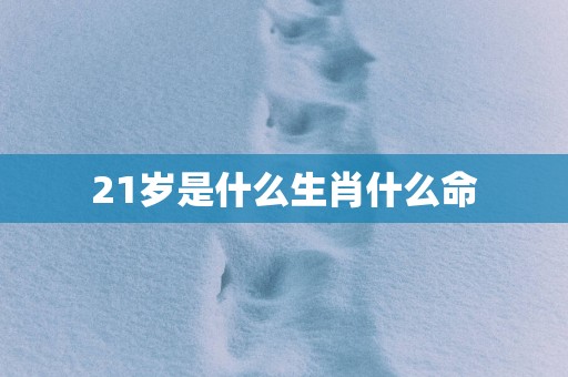 21岁是什么生肖什么命