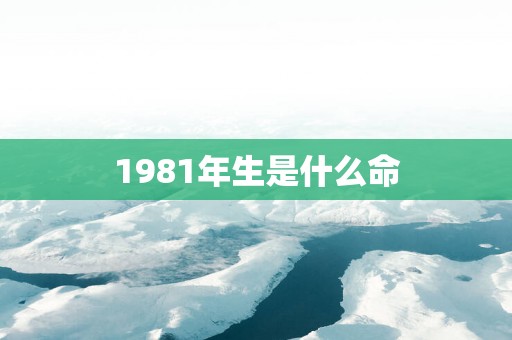 1981年生是什么命