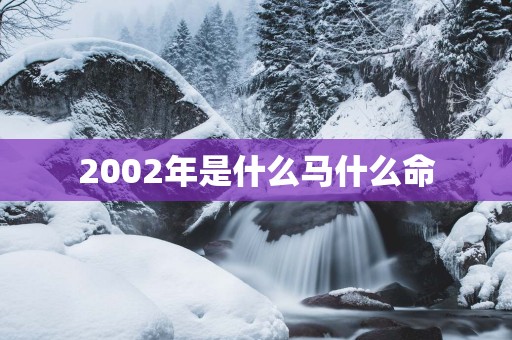2002年是什么马什么命 2002年是什么马什么命