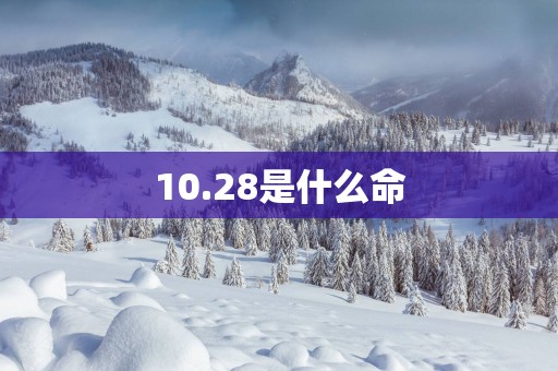 10.28是什么命