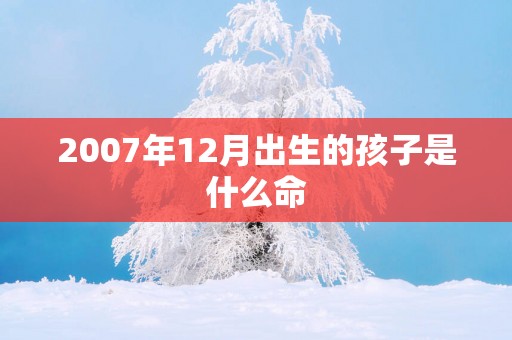 2007年12月出生的孩子是什么命