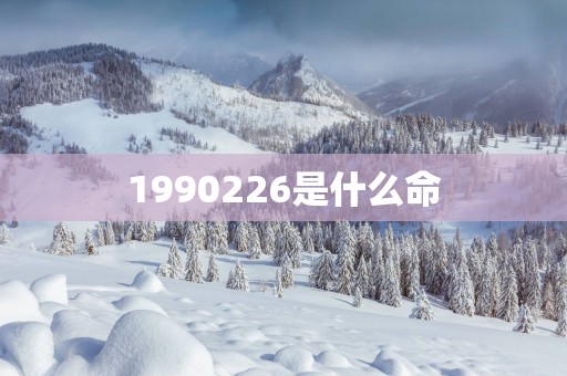 1990226是什么命