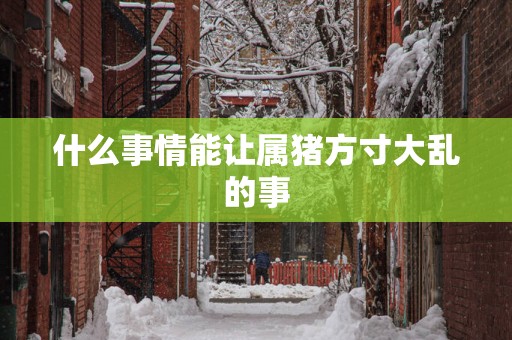 什么事情能让属猪方寸大乱的事