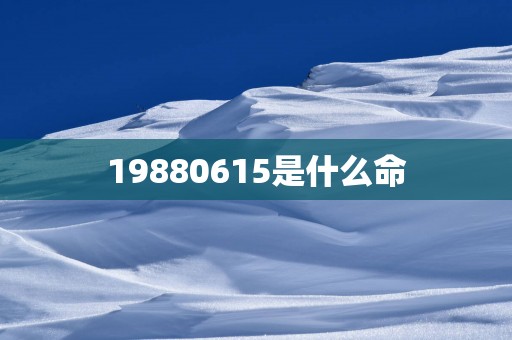 19880615是什么命