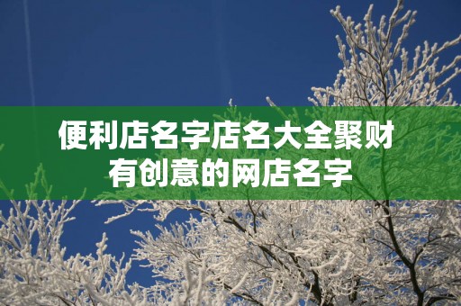 便利店名字店名大全聚财 有创意的网店名字