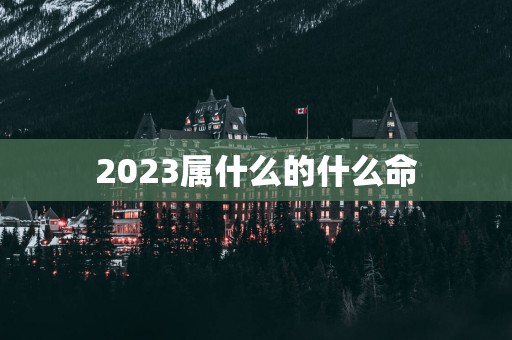 2025属什么的什么命