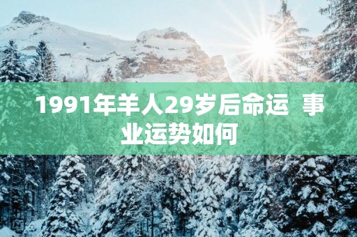 1991年羊人29岁后命运  事业运势如何